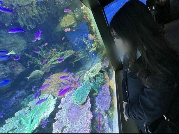 FC2-PPV-2851908 – [Appearance] Shock runs!  – !  – With almost no experience with men, J○'s modern girl learned about pleasure from spring and steadily climbed the stairs to adulthood – EP 1