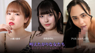 HEYZO 3930 Women Who Love Sucking Cock – Bonus Special Vol.17