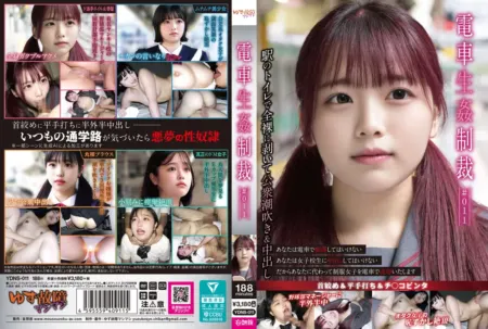 YDNS-011 Trapped and Assaulted on the Train #011